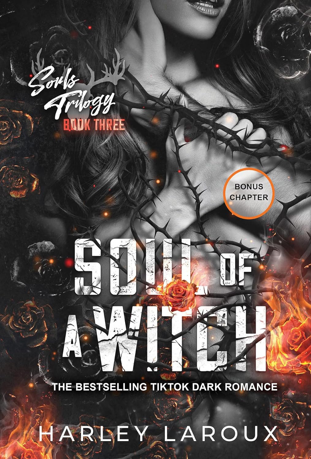 Soul of a Witch: A Spicy Dark Demon Romance (Souls Trilogy) - MO Corrections Bookstore