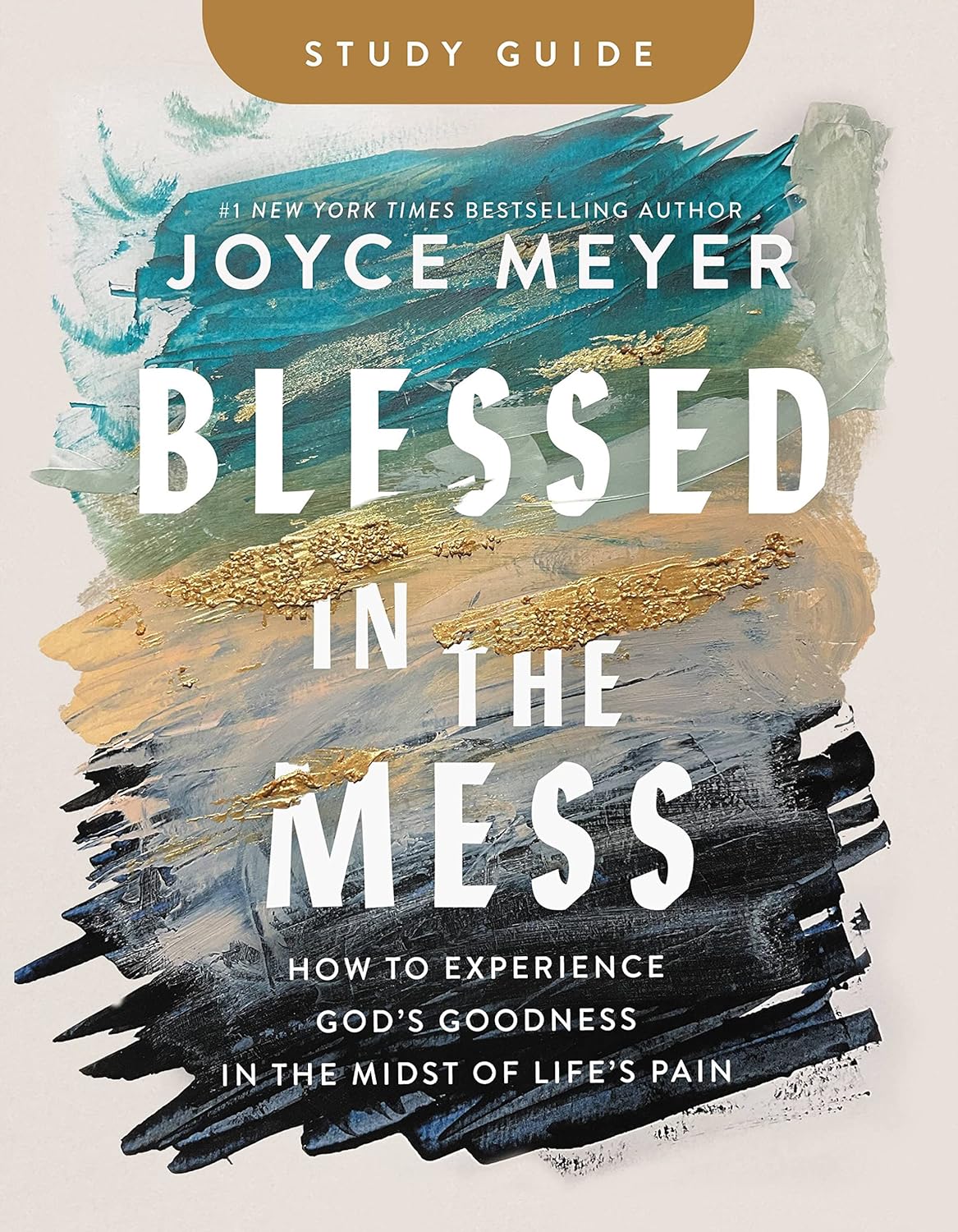 Blessed in the Mess Study Guide How to Experience God's Goodness in the Midst of Life's Pain - MO Corrections Bookstore