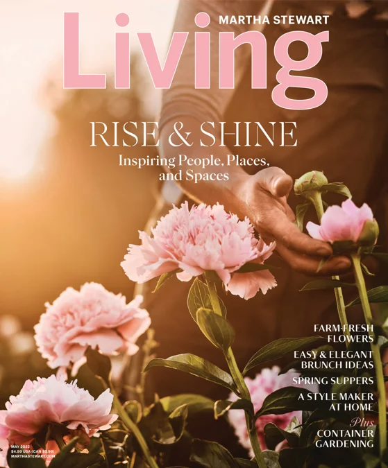 Martha Stewart Living Magazine Magazines Subscriptions Meredith Corporation