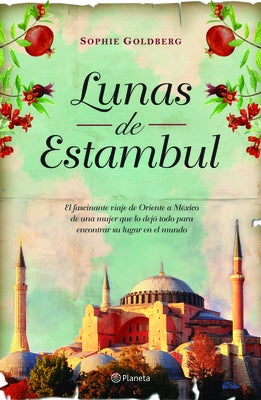 Lunas de Estambul (Novela) / Moons of Istanbul (a Novel) by Goldberg, Sophie