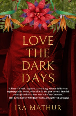 Love the Dark Days Paperback Peepal Tree Press