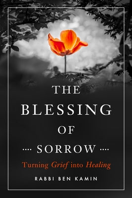 The Blessing of Sorrow: Turning Grief Into Healing Paperback Central Recovery Press