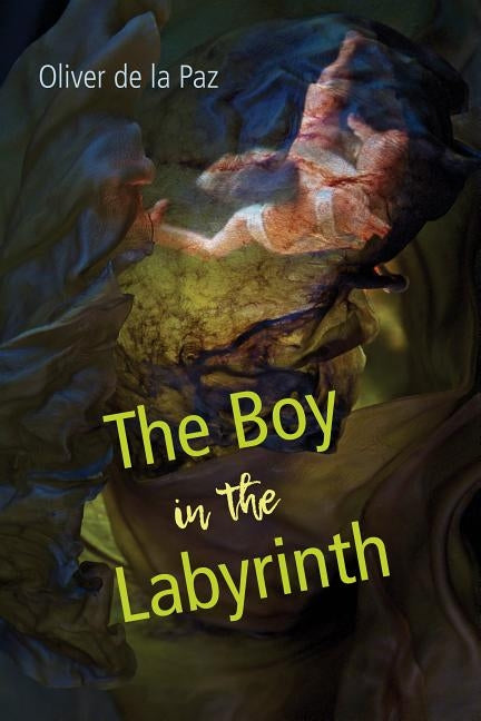 The Boy in the Labyrinth: Poems University of Akron Press