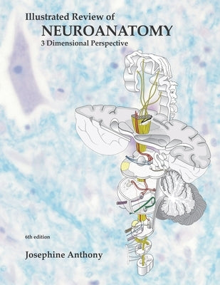 Illustrated Review of Neuroanatomy: 3 Dimensional Perspective Paperback Independently Published