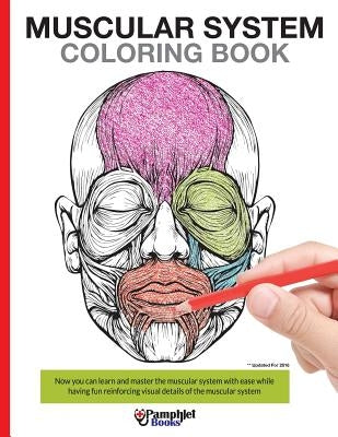 Muscular System Coloring Book: Now you can learn and master the muscular system with ease while having fun Paperback Createspace Independent Publishing Platform