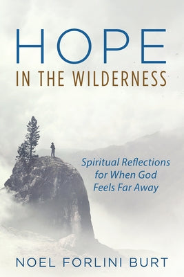 Hope in the Wilderness Paperback Cascade Books