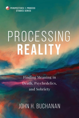 Processing Reality Paperback Cascade Books
