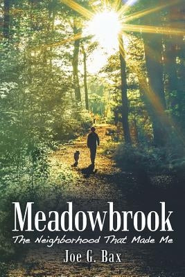 Meadowbrook: The Neighborhood That Made Me Paperback Archway Publishing