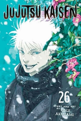 Jujutsu Kaisen, Vol. 26 Paperback Viz Media