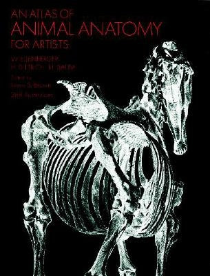 An Atlas of Animal Anatomy for Artists Paperback Dover Publications