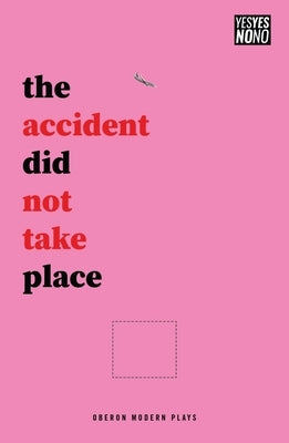 The accident did not take place Paperback Bloomsbury Publishing PLC
