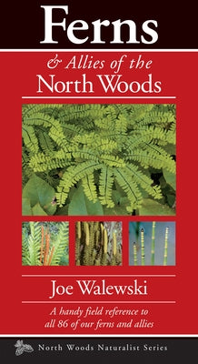 Ferns & Allies of the North Woods: A Handy Field Reference to All 86 of Our Ferns and Allies Paperback Kollath-Stensaas Publishing