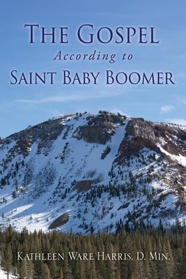 The Gospel According to Saint Baby Boomer Paperback Xulon Press