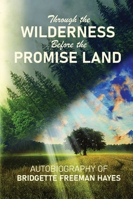 Through the Wilderness Before the Promise Land Paperback Bridgette Freeman-Hayes