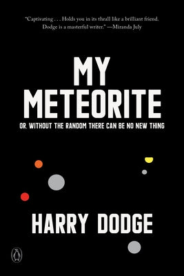 My Meteorite: Or, Without the Random There Can Be No New Thing Penguin Books