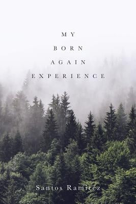 My Born Again Experience Paperback Christian Faith