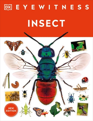 Eyewitness Insect Paperback DK Publishing (Dorling Kindersley)