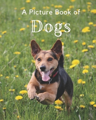 A Picture Book of Dogs: A Beautiful Picture Book for Seniors With Alzheimer's or Dementia. Makes a Great Gift For Dog Lovers! Paperback Independently Published