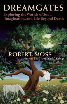 Dreamgates: Exploring the Worlds of Soul, Imagination, and Life Beyond Death Paperback New World Library