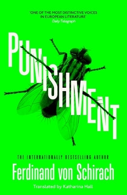 Punishment Paperback Baskerville Publishers