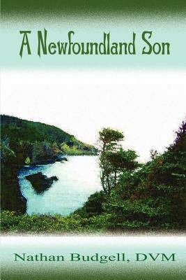 A Newfoundland Son: Autobiography Paperback 1st Book Library