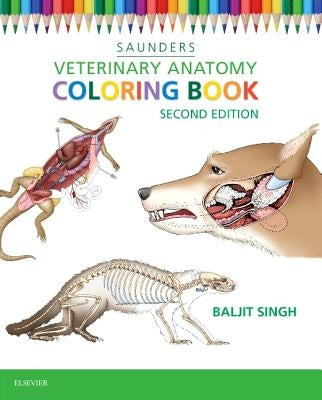 Veterinary Anatomy Coloring Book Paperback Saunders