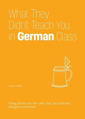 What They Didn't Teach You in German Class: Slang Phrases for the Cafe, Club, Bar, Bedroom, Ball Game and More Paperback Ulysses Press