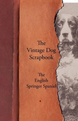 The Vintage Dog Scrapbook - The English Springer Spaniel Paperback Vintage Dog Books
