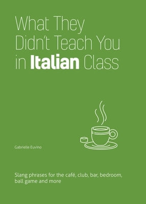 What They Didn't Teach You in Italian Class: Slang Phrases for the Cafe, Club, Bar, Bedroom, Ball Game and More Paperback Ulysses Press